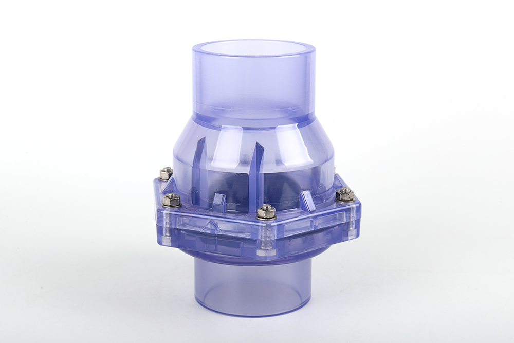 东兰透明翻板式止回阀